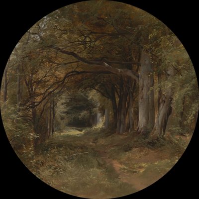 Paisaje de John Middleton